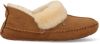 Warmbat Pantoffels Barrine BAR341025 Cognac Bruin-37 maat 37 online kopen
